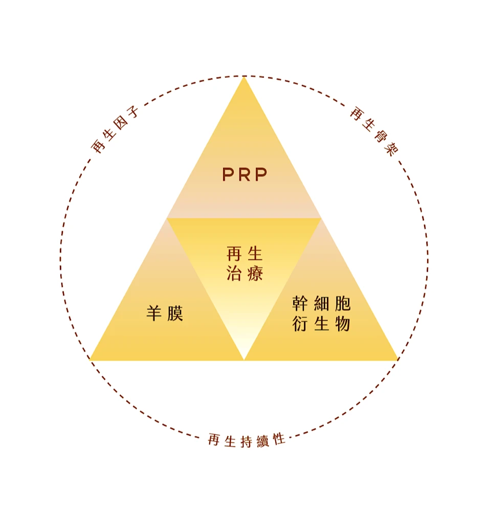 再生治療三角圖：PRP、羊膜、幹細胞衍生物
