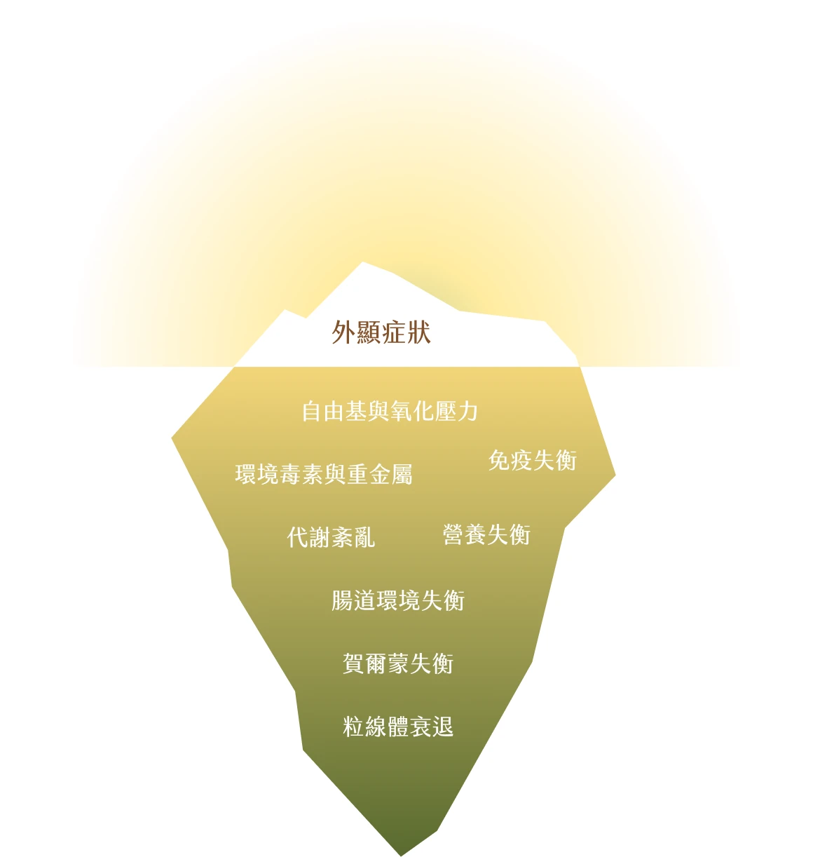 外顯症狀只是冰山一角：自由基與氧化壓力、環境毒素與重金屬、免疫失衡、代謝紊亂、營養失衡、腸道環境失衡、賀爾蒙失衡、粒線體衰退，都是水面下真正的根本原因